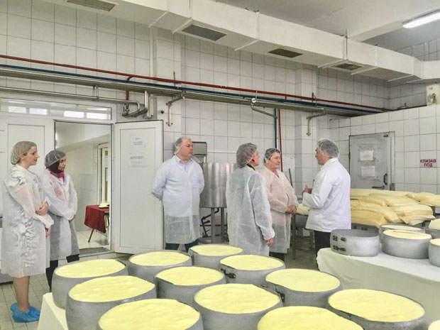 Пирот: Хвала Чесима и Словацима